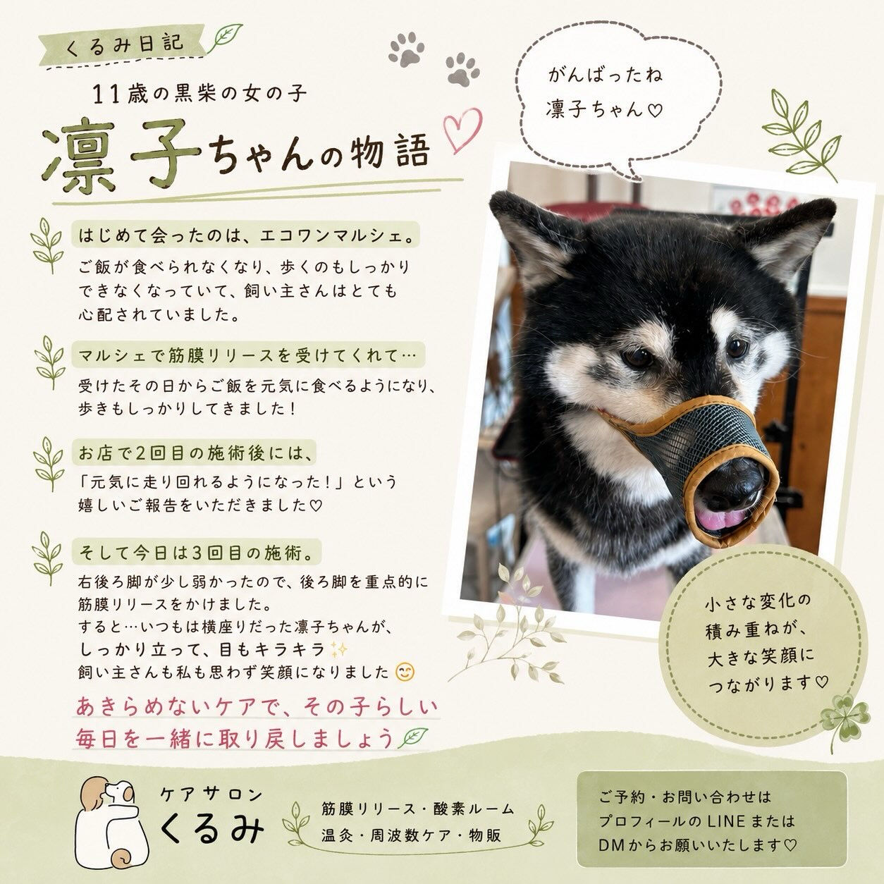 🌿 くるみ日記　凛子ちゃん 🌿