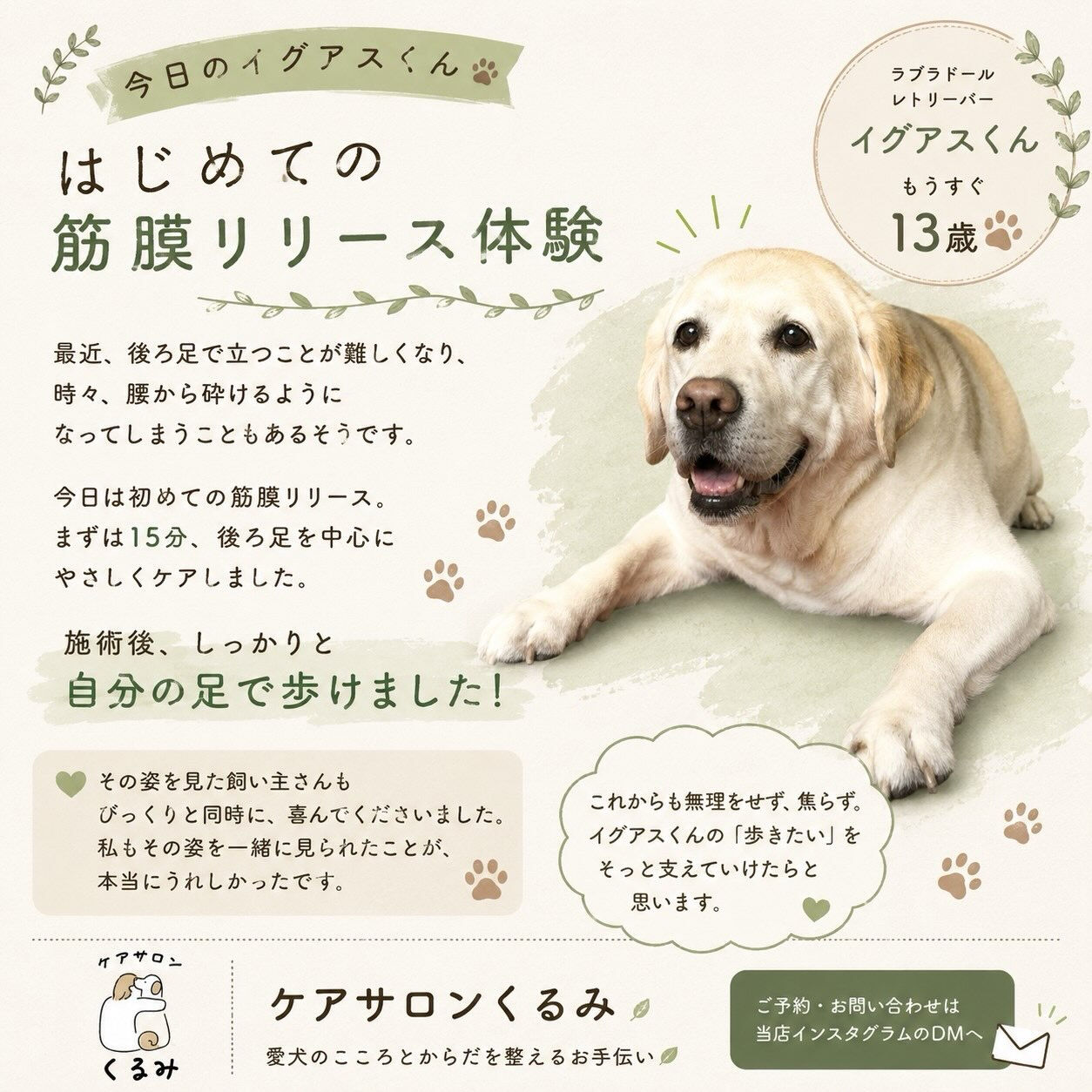 🌿 くるみ日記　イグアスくん 🌿