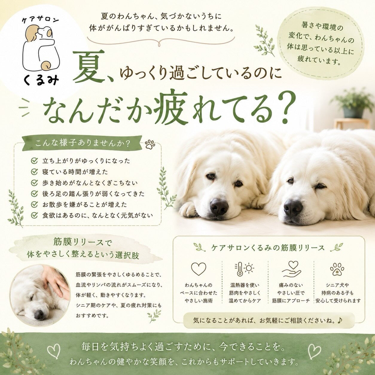夏、ゆっくり過ごしているのに