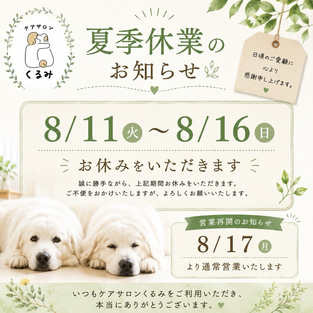 🌿 夏季休業のお知らせ 🌿