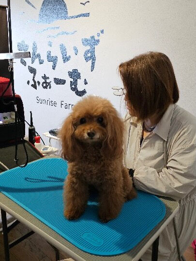 今日は、きっちんさんらいずふぁーむさんで