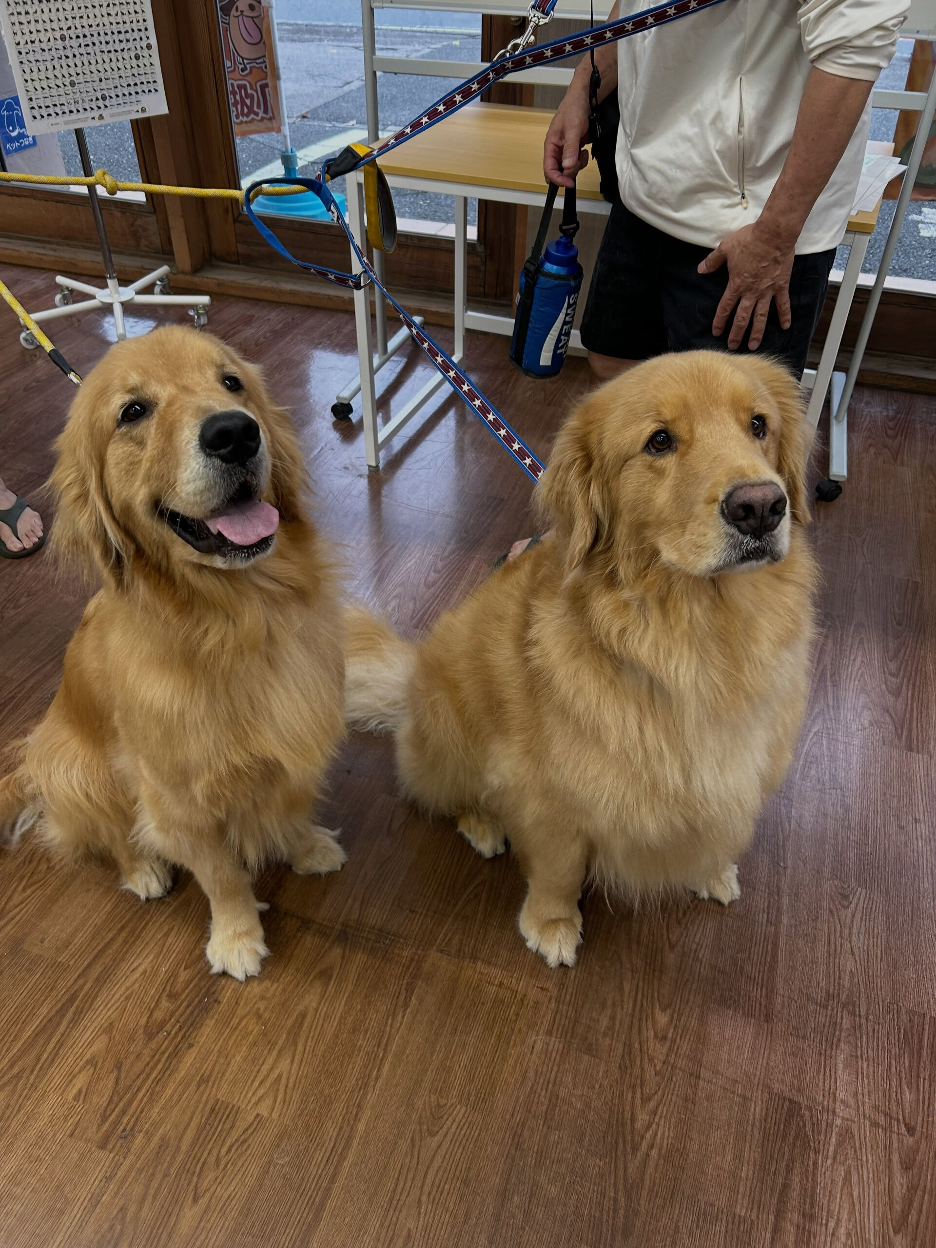 9月27日 トムキャット向山店さま🐾