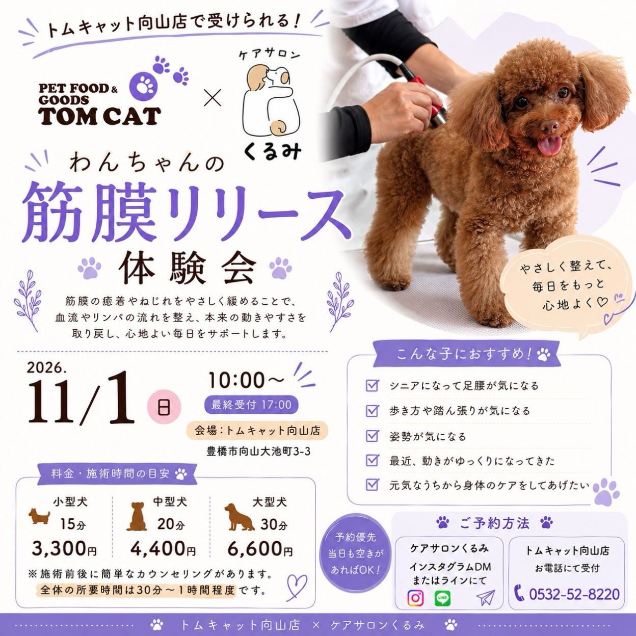 🐾 **11月1日（日）は、わんわんわんの日！** 🐾