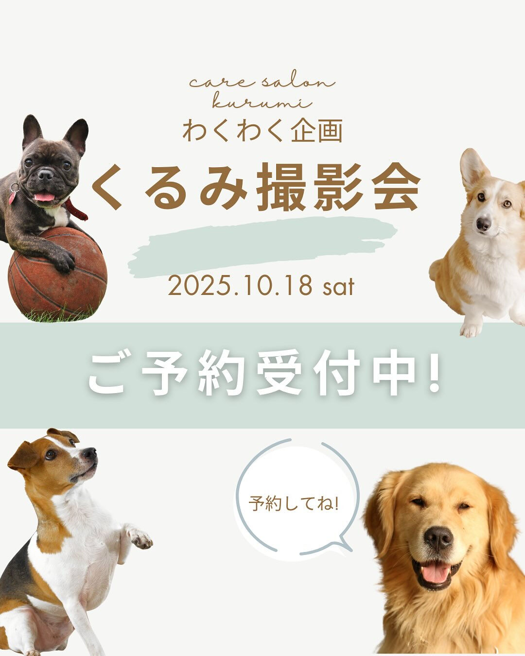 撮影会予約受付中‼️