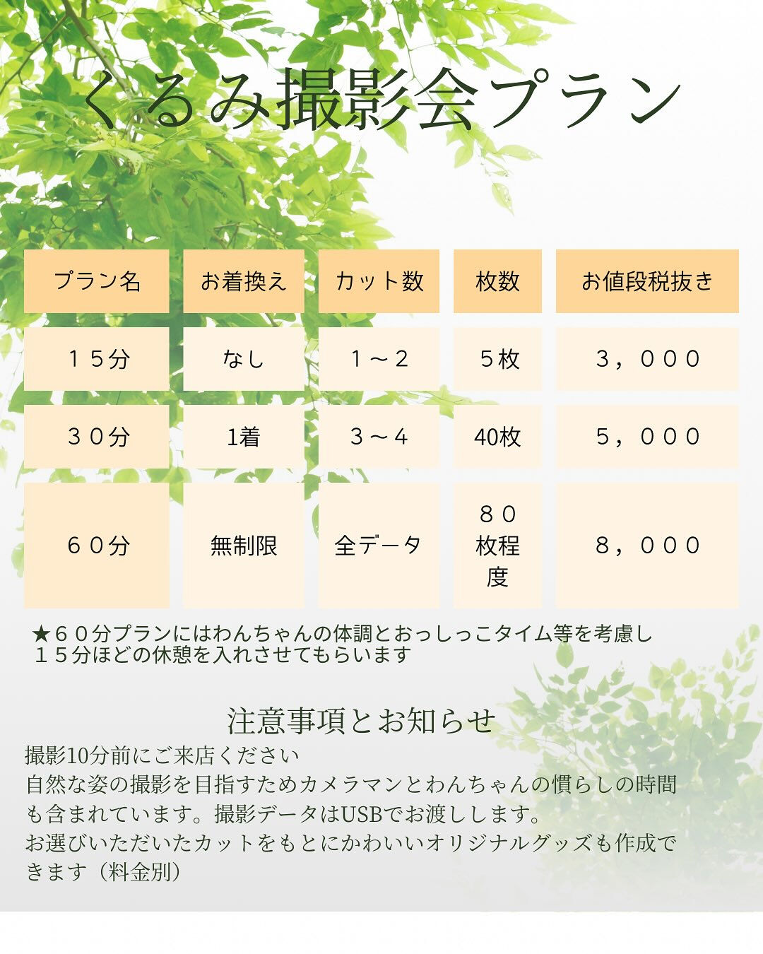 撮影会予約受付中‼️