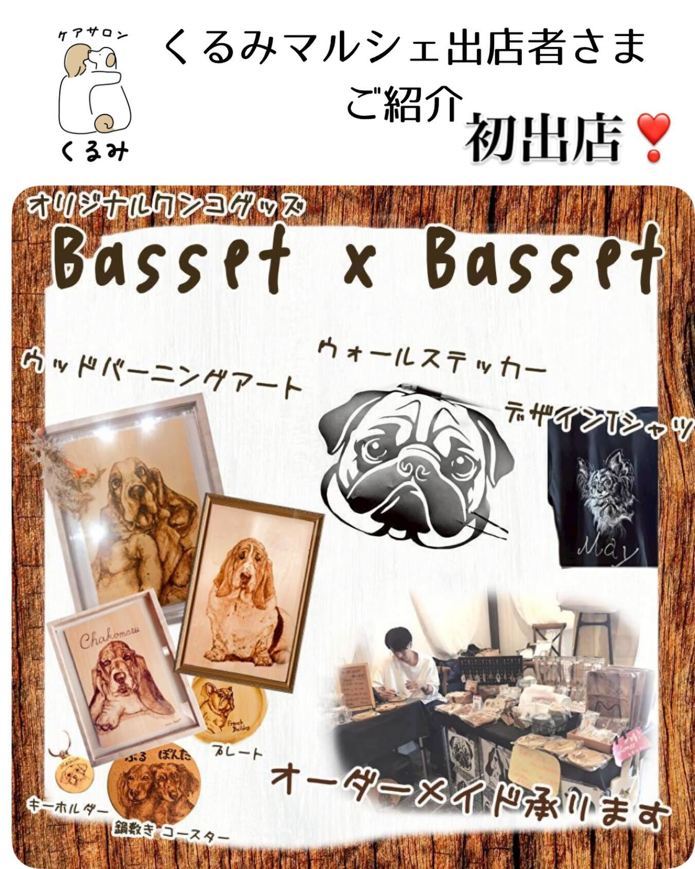 Basset×Bassetです