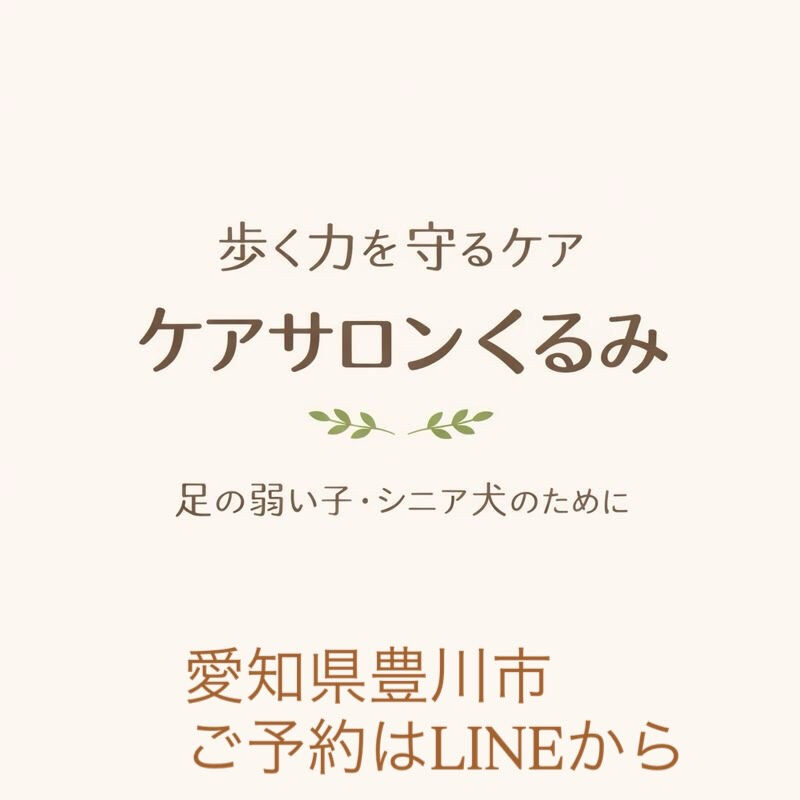 この子が、少しでも長く歩けますように