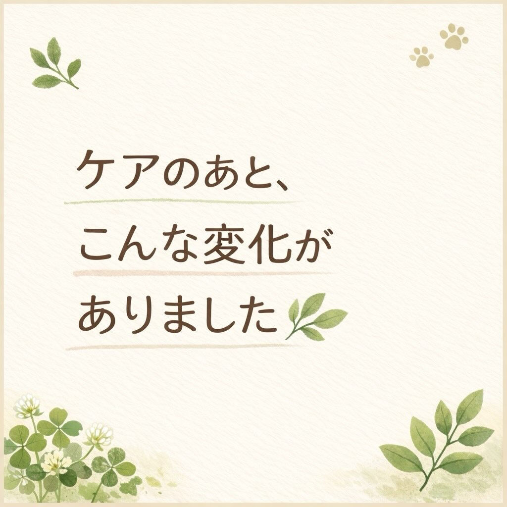 「歩く姿が、前より楽そうになりました