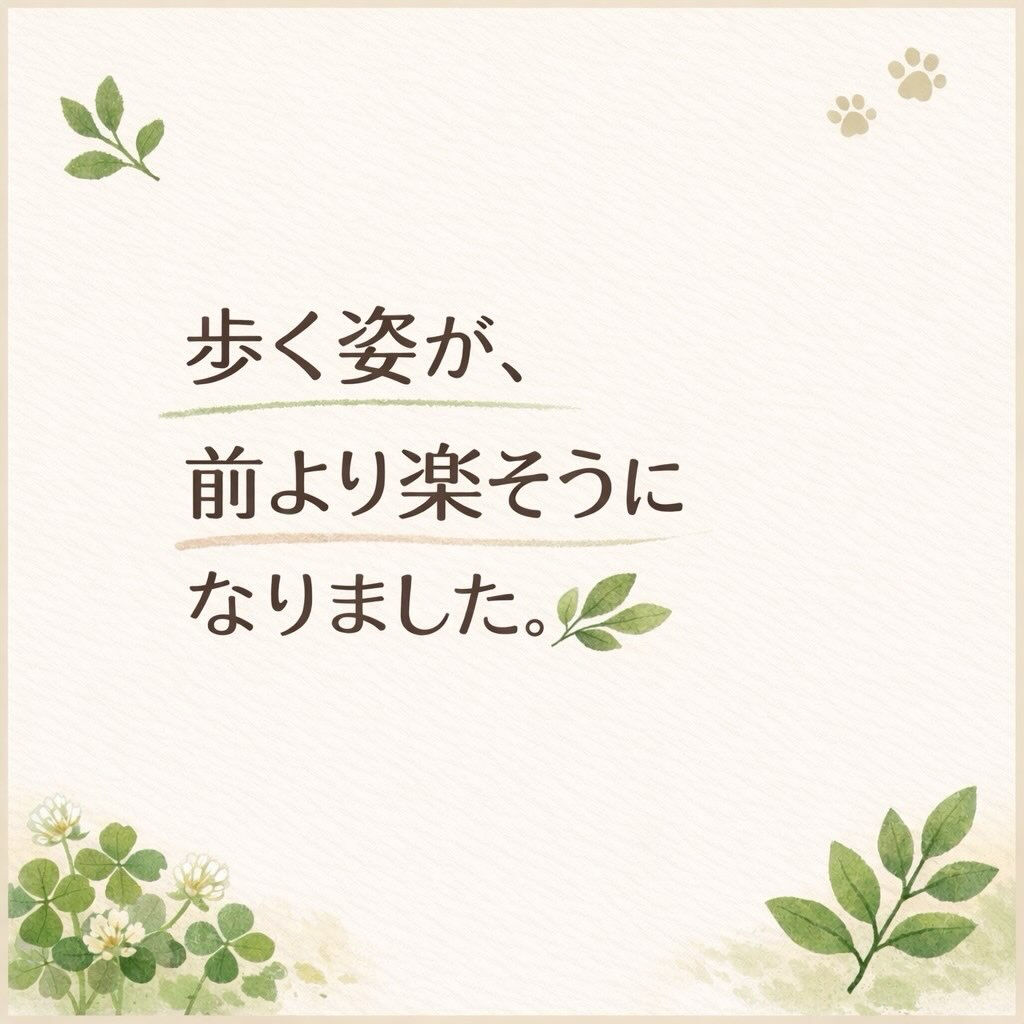 「歩く姿が、前より楽そうになりました