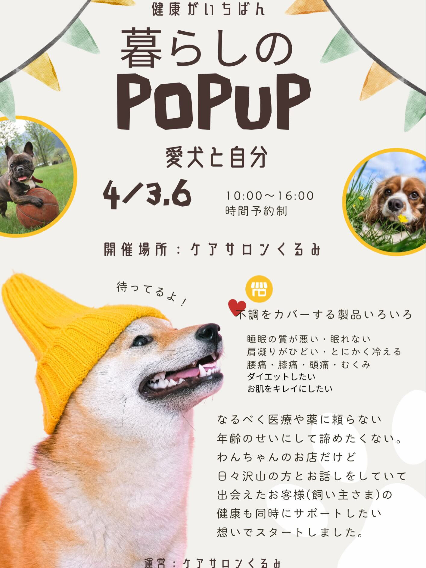 シャワーヘッドジプシーからの脱却❣️