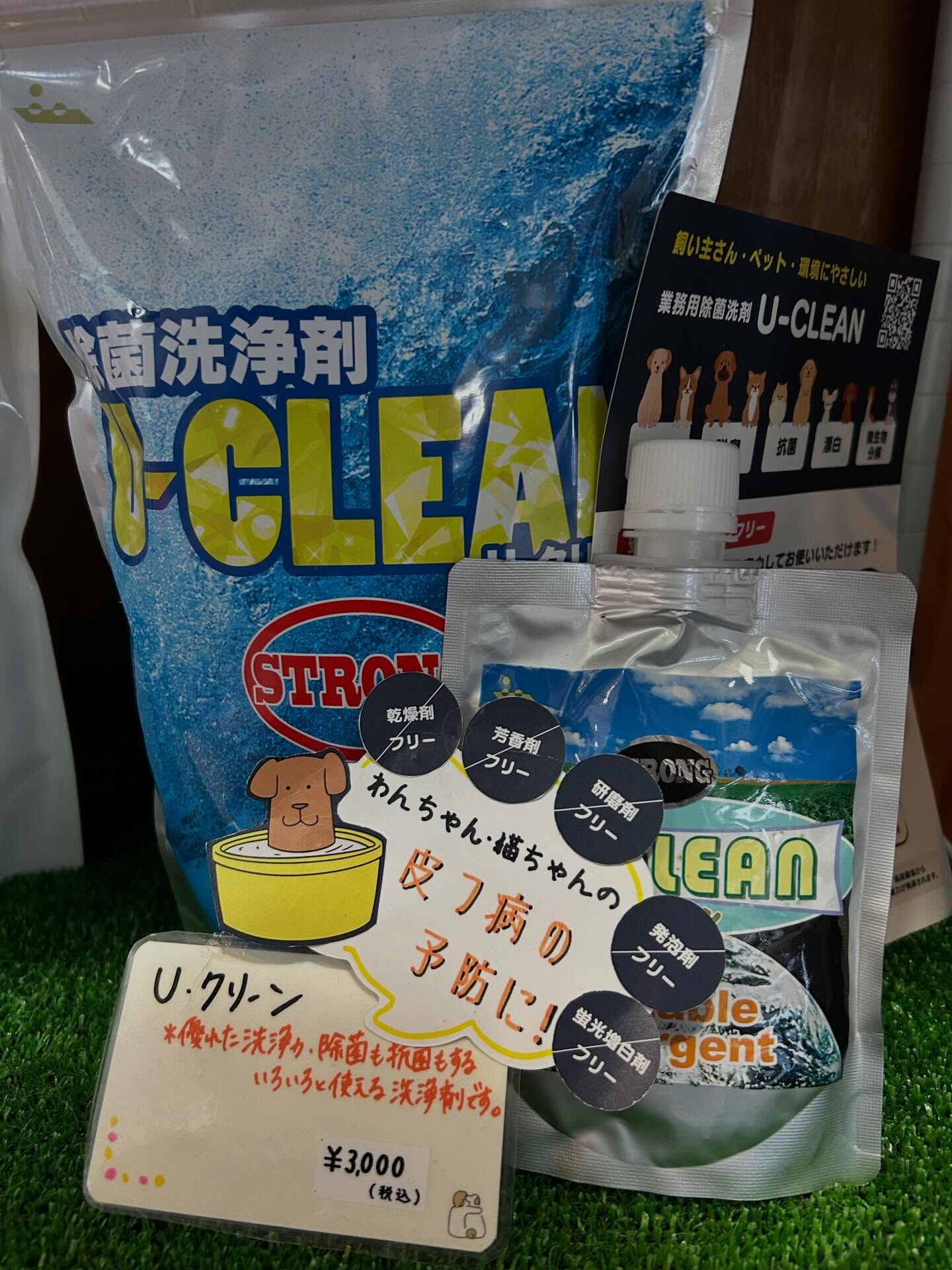 明るい服を着たくなる季節です