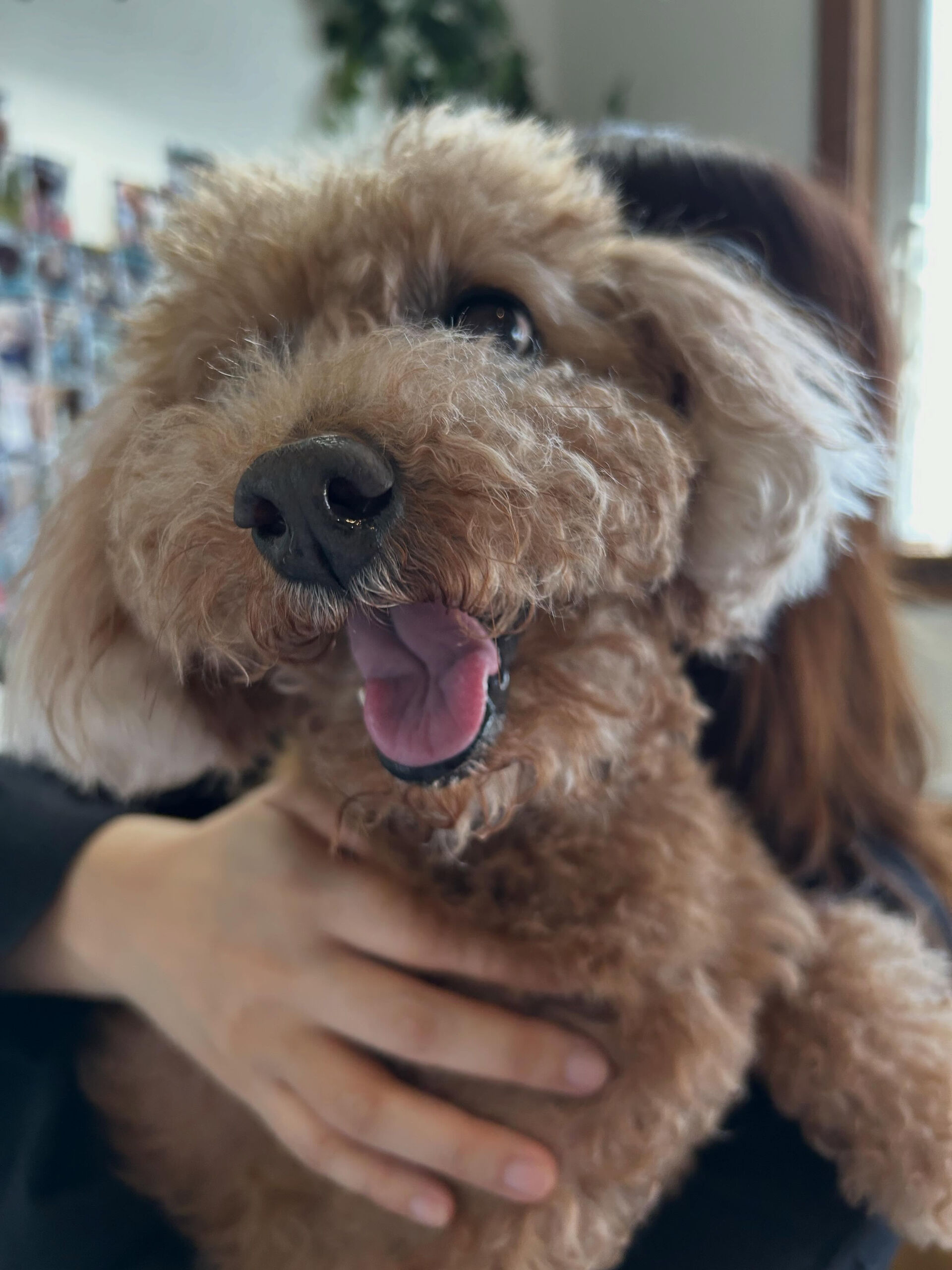 愛され家族💕