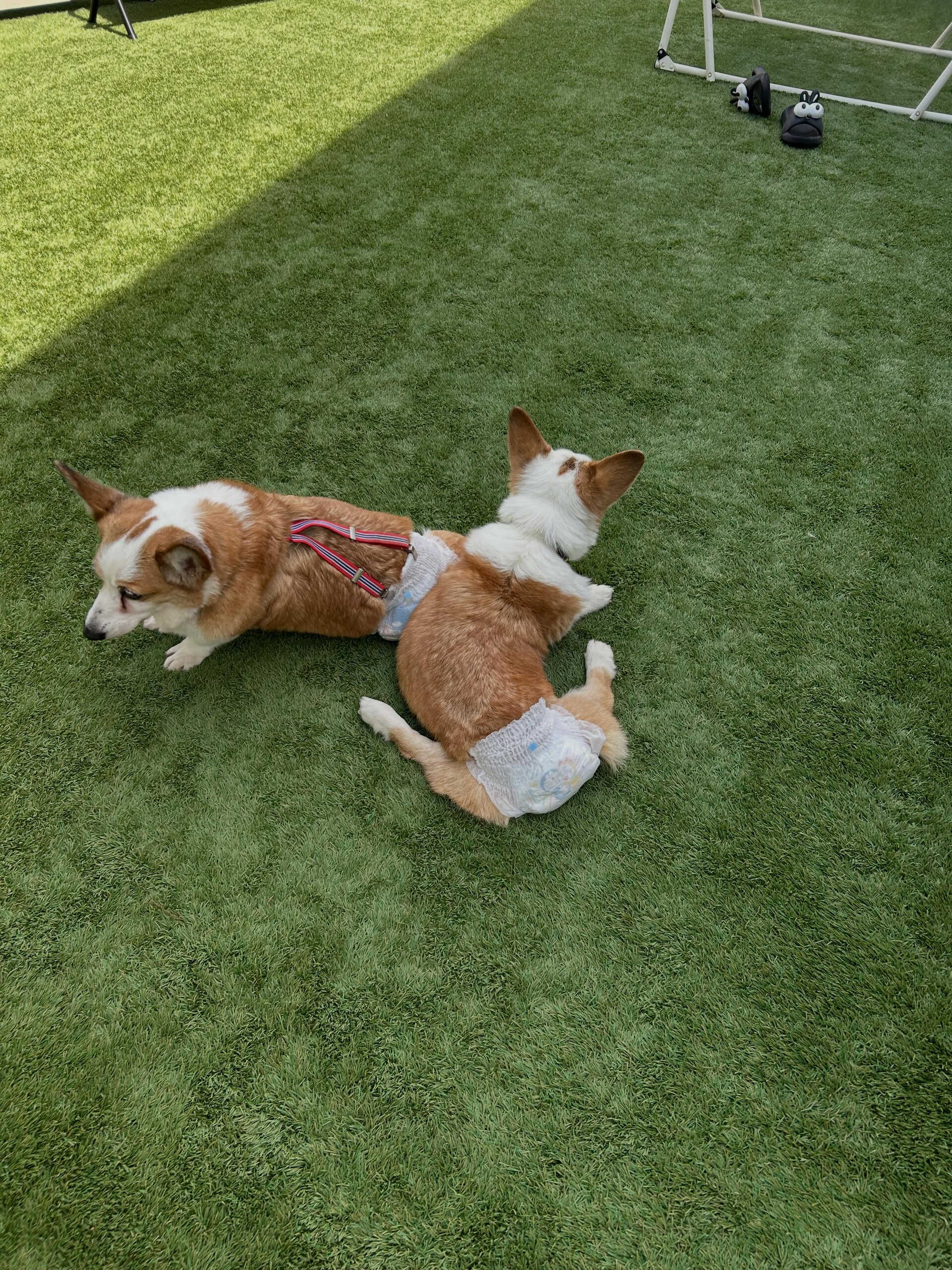 愛され家族💕