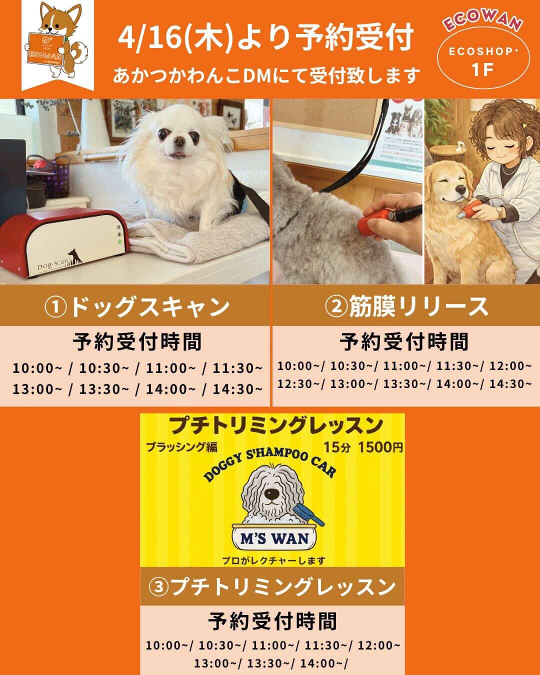 出張筋膜リリース&マルシェ