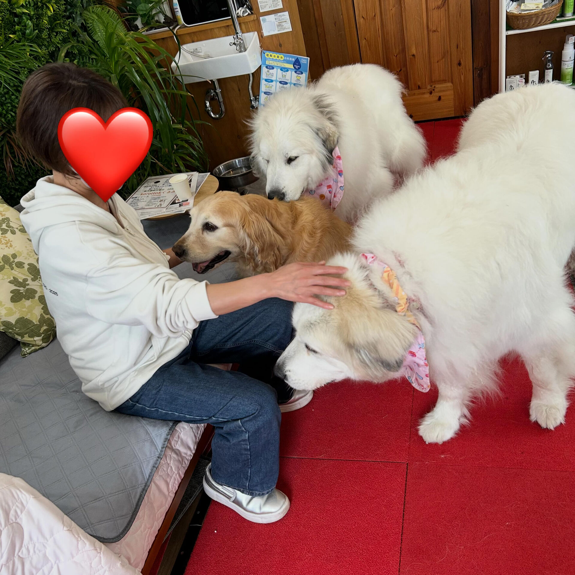 今日はたくさんの方にお越しいただきありがとうございました