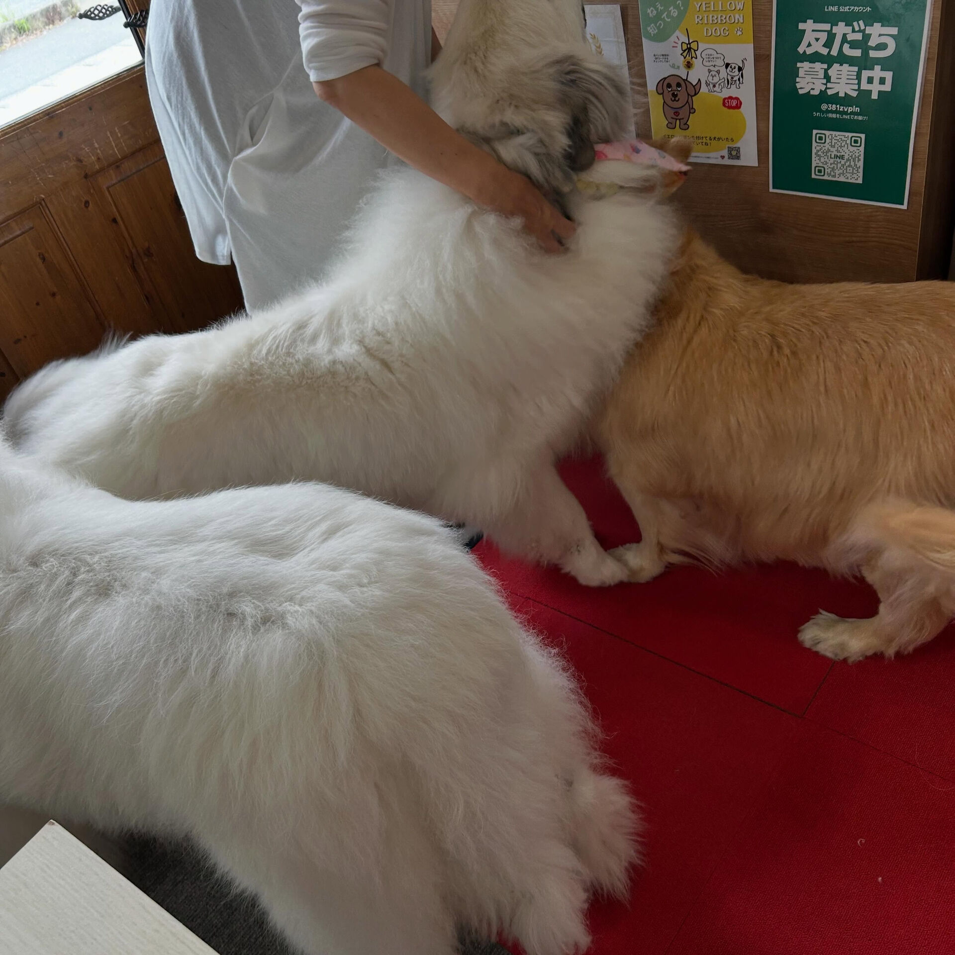 今日はたくさんの方にお越しいただきありがとうございました