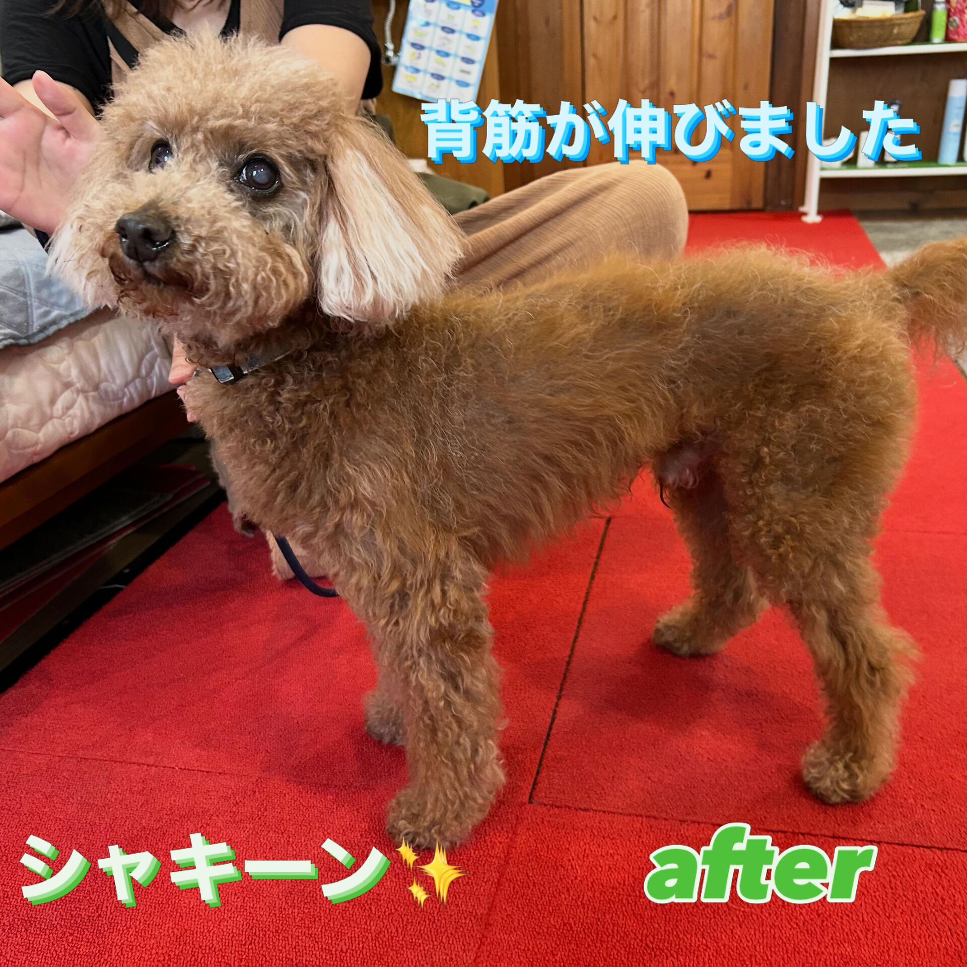 今日はたくさんの方にお越しいただきありがとうございました
