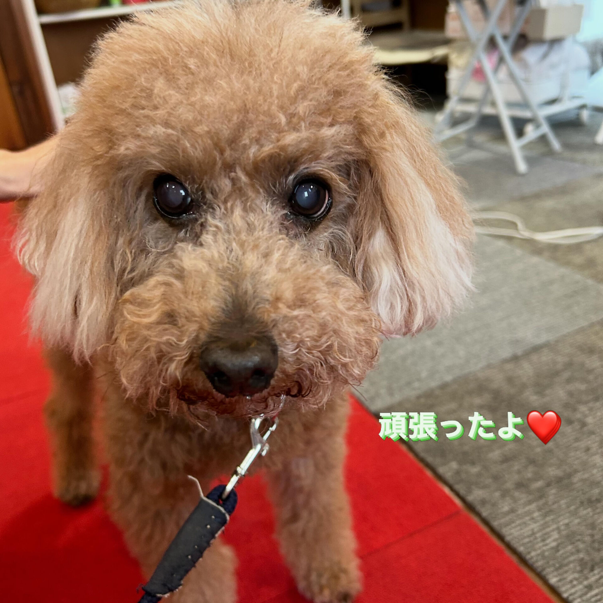 今日はたくさんの方にお越しいただきありがとうございました