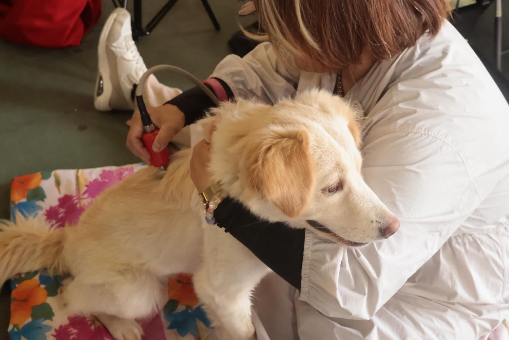 犬ハピに行きました❣️