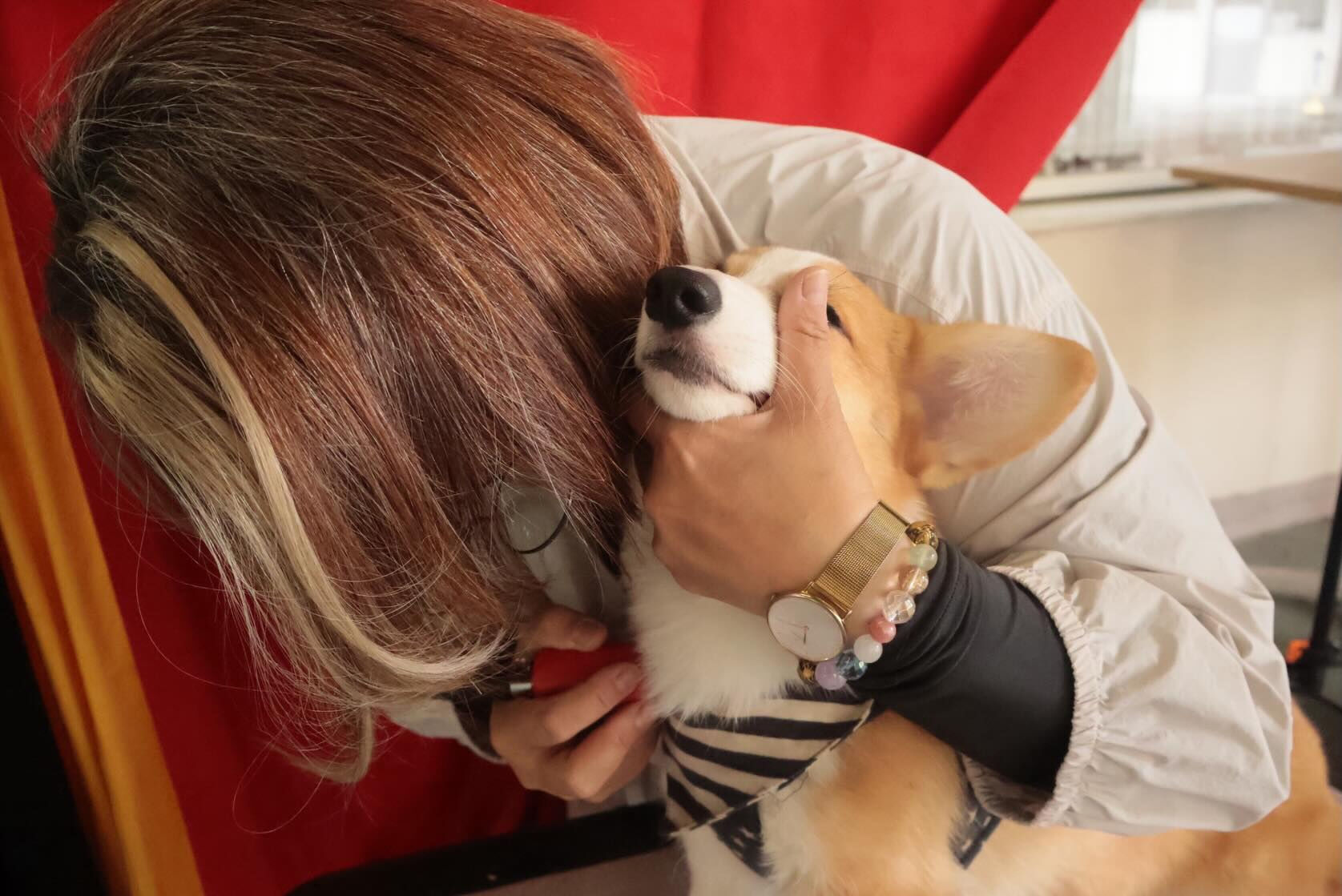 犬ハピに行きました❣️