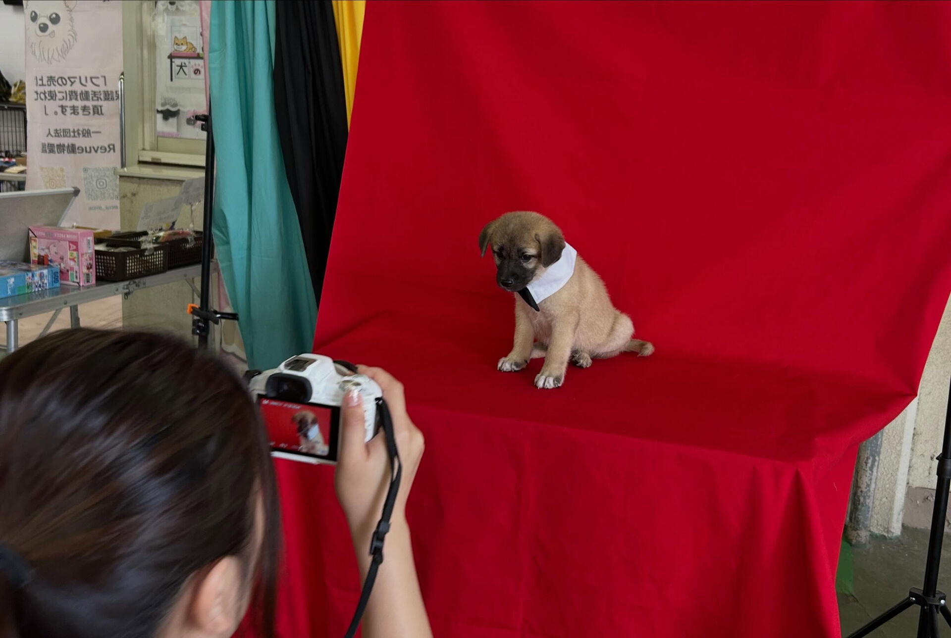 犬ハピに行きました❣️