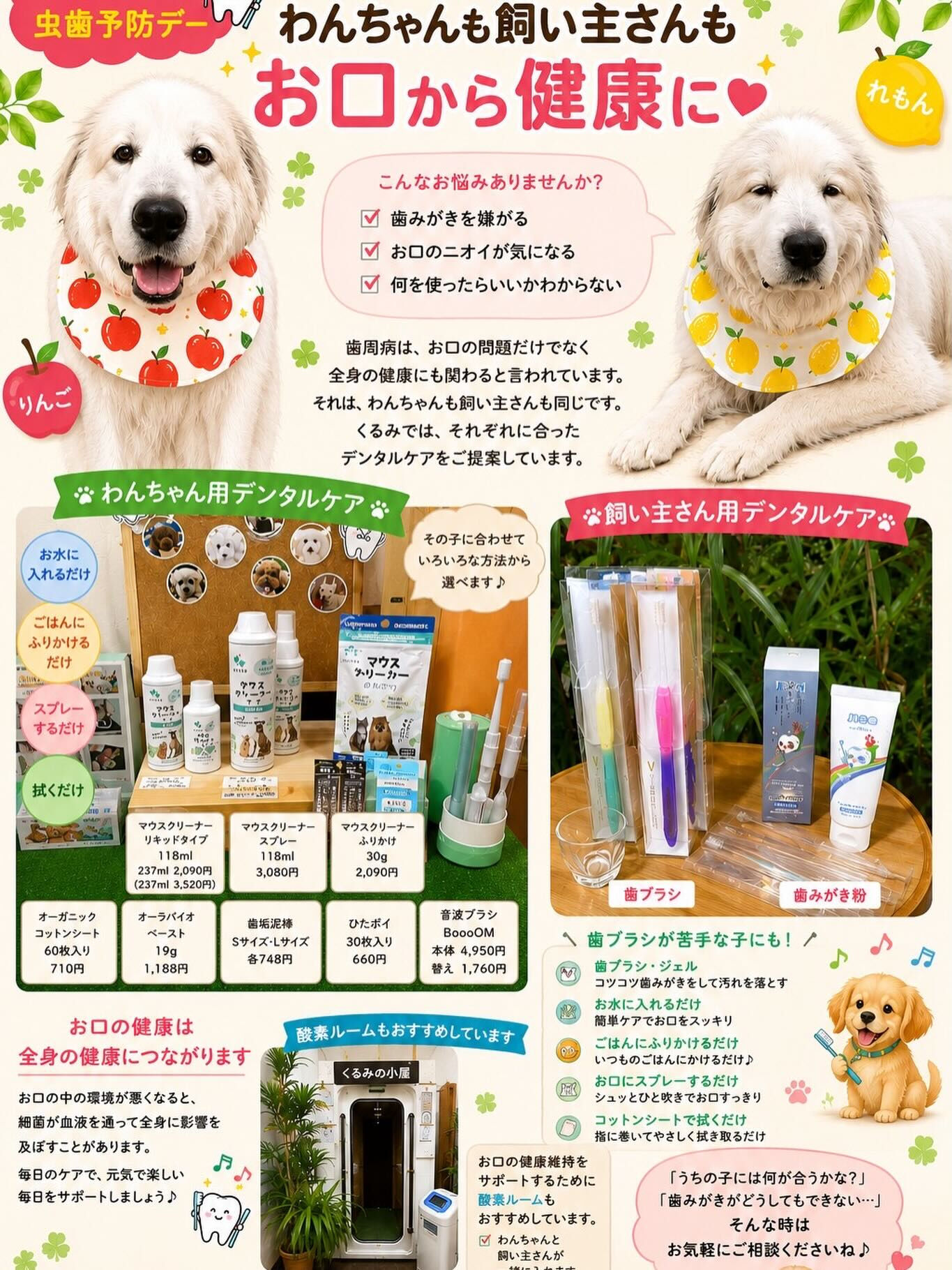 🦷6月4日は虫歯予防デー🦷