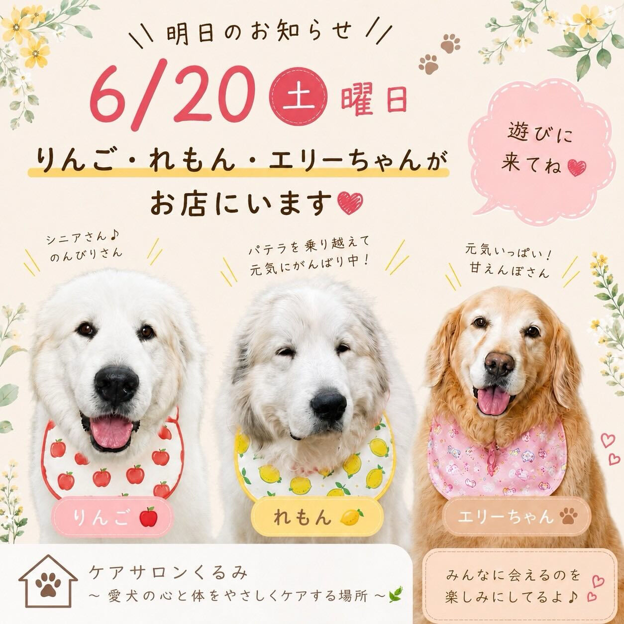 🍎🍋🐾 明日のお知らせ 🐾🍋🍎
