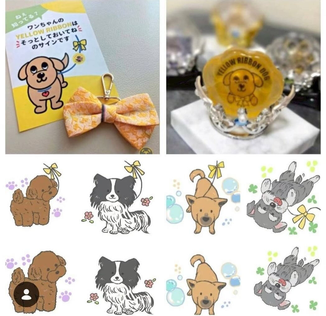 アミノ酸石けんの中にイラストを閉じ込める石けんワークショップ